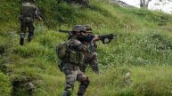 J&K: One Terrorist Gunned Down In Bandipora, Search Operation In Progress