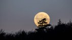 The last Supermoon Of 2024 (Representative Image)