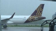 Vistara Merger