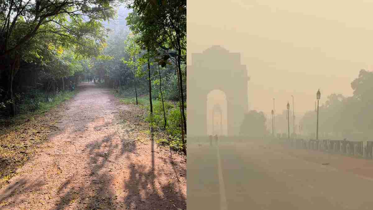 'Settle In Bengaluru': X User’s Witty Take On Delhi AQI Crisis