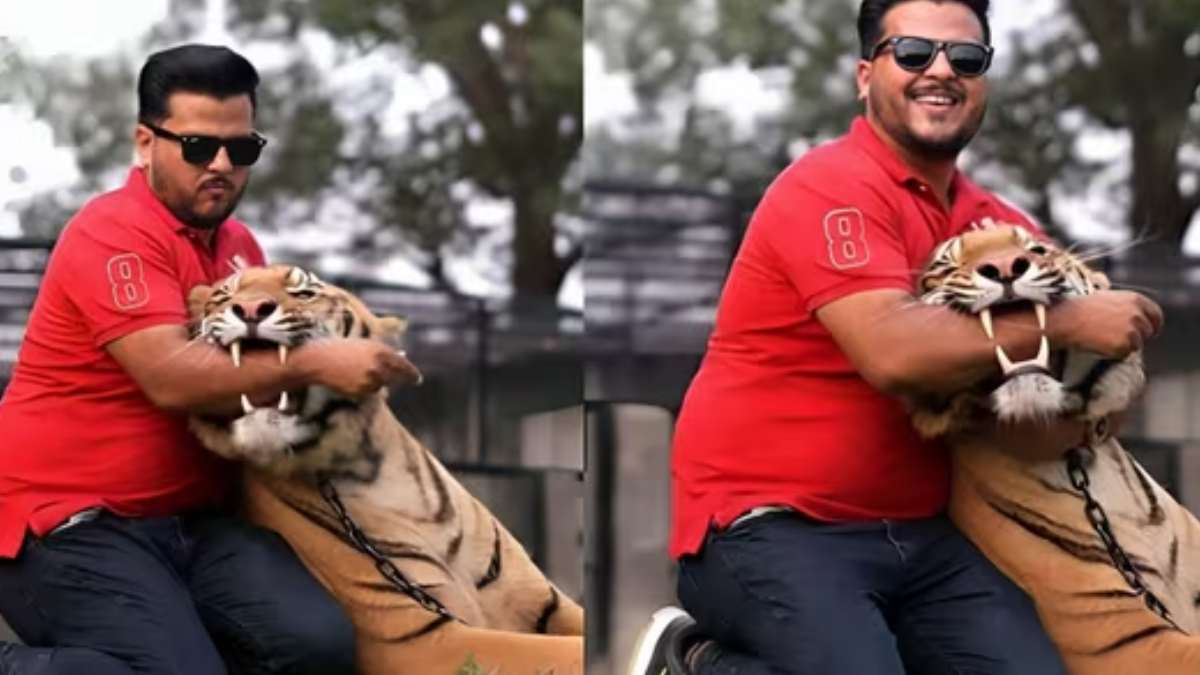 Viral Video: Pakistani Creator Puts Hand Inside Tiger's Mouth, Faces Backlash Over Risky Stunt