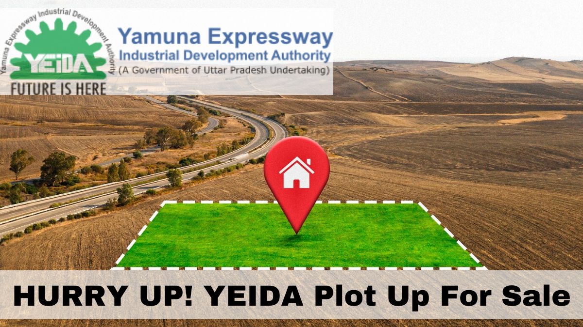 HURRY UP! YEIDA Plot Sale: Only 10 Days Left To Buy Your Dream Home Plot In Noida - Check Details