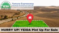 HURRY UP! YEIDA Plot Sale: Only 10 Days Left To Buy Your Dream Home Plot In Noida - Check Details