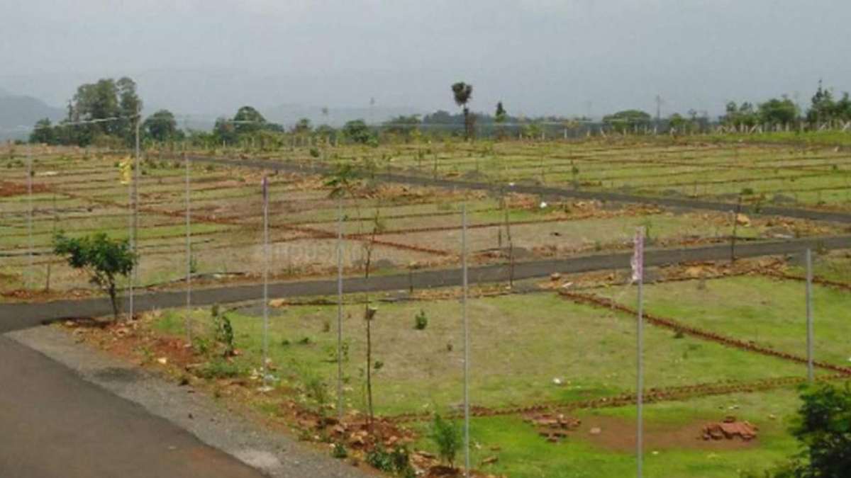 YEIDA Plot Scheme 2024: Good News! 451 Plots Available In Sector 24-A; Check Sizes, Criteria And More