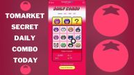 Tomarket Secret Daily Combo Today November 10, 2024: Unlock Exclusive Rewards And TOMATO Tokens!