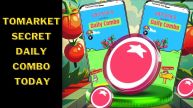 Tomarket Secret Daily Combo Today November 11, 2024: How Many TOMATO Tokens Will You Earn Today?