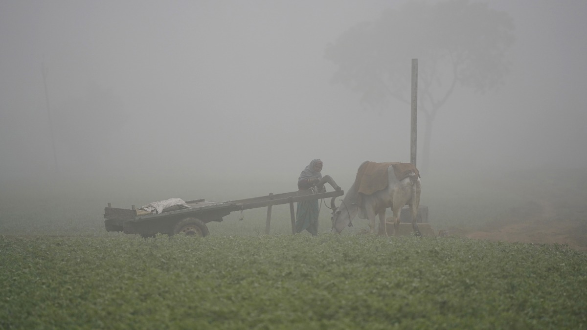 According to the India Meteorological Department (IMD), we're looking at a high of 21.0°C and a low of 7.0°C today.