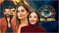 Bigg Boss 18