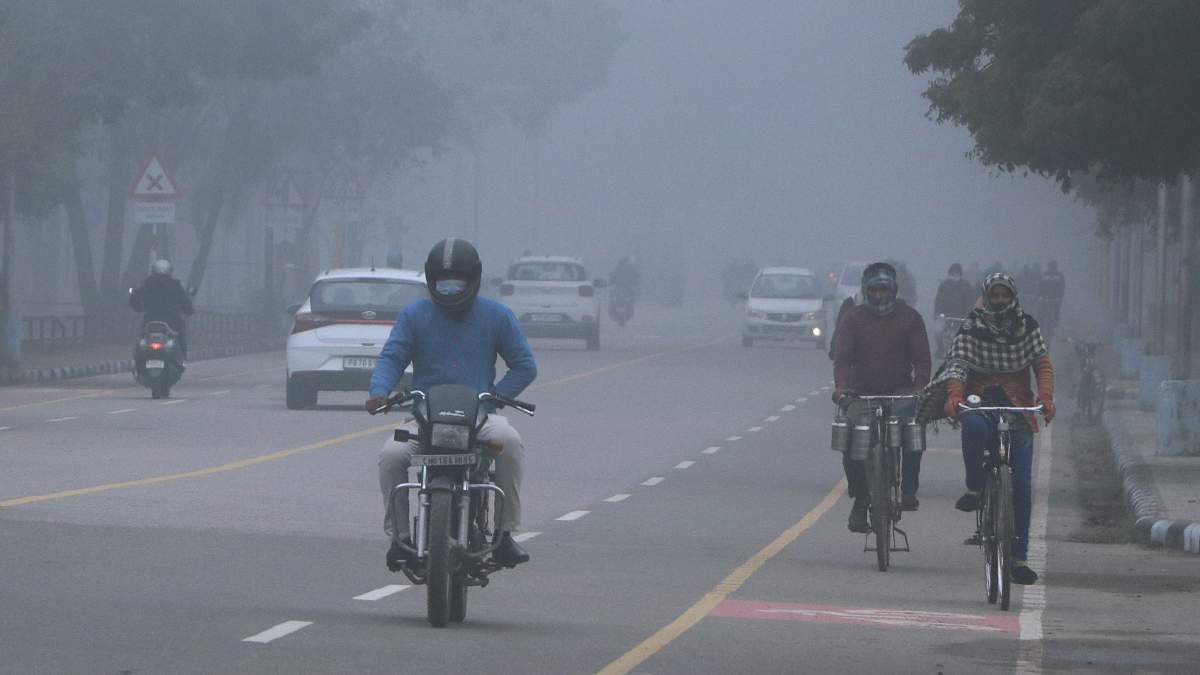 Chandigarh Weather Update Today December 21, 2024 Chandigarh Weather Update Today December 21, 2024