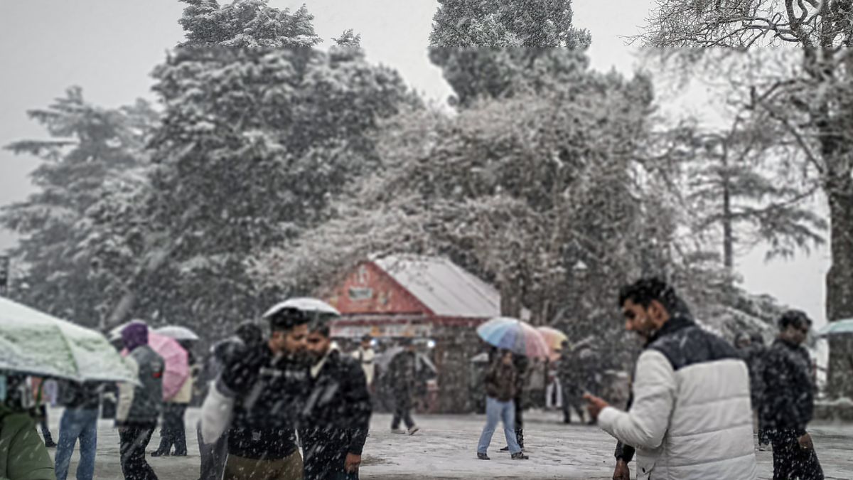 Shimla, Himachal Pradesh Weather Update Today: IMD Issues Yellow Alert! Temperature, AQI, IMD Forecast For Next 7 Days