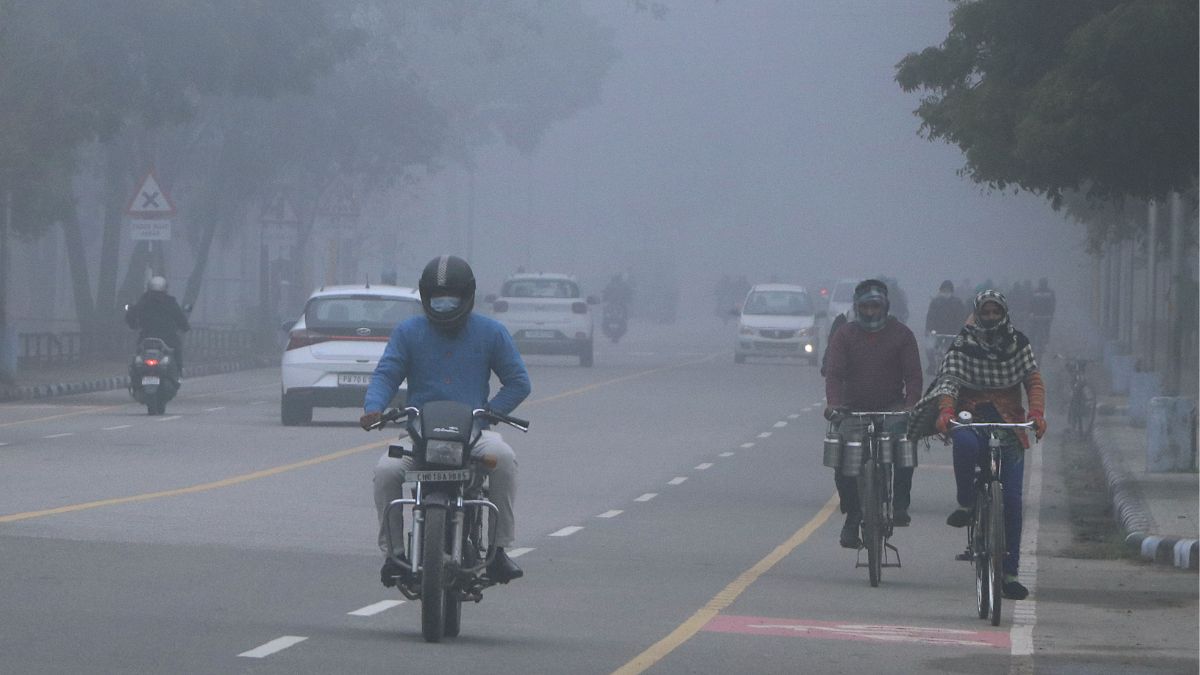 Chandigarh Weather Update Today: IMD Issues Yellow Alert! Temperature, AQI Warning, IMD Forecast For Next 7 Days