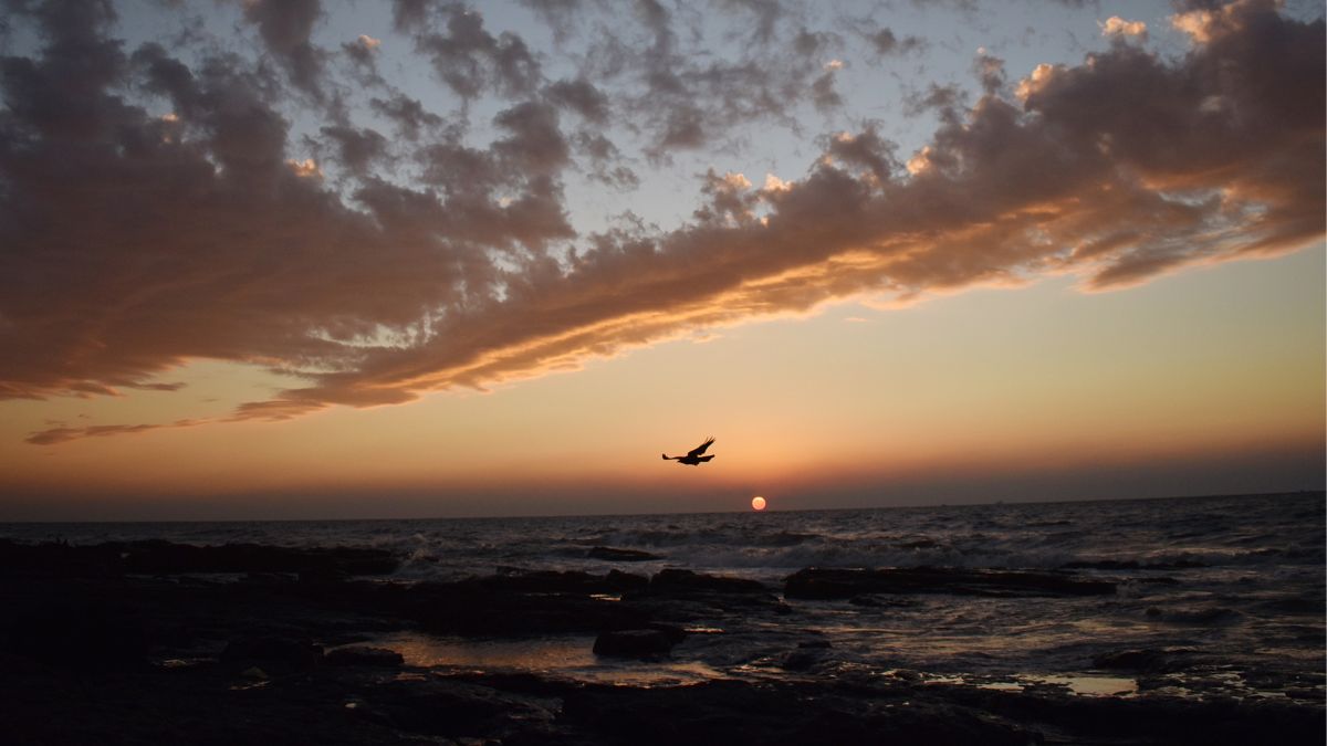 Mumbai, Maharashtra Weather Update Today: Temperature, AQI, IMD Forecast For Next 7 Days