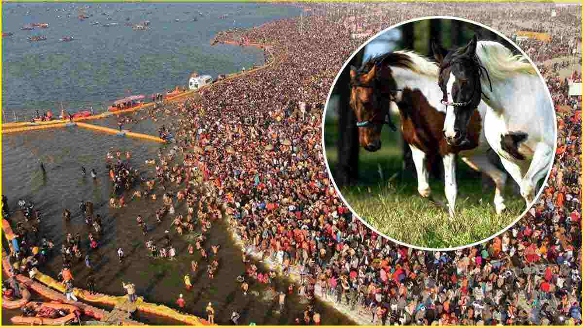 Maha Kumbh 2025