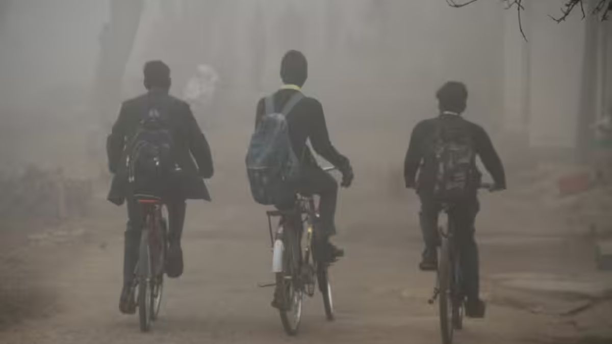 Noida, Uttar Pradesh Weather Update: Temperature, AQI Warning, IMD Forecast For Next 7 Days