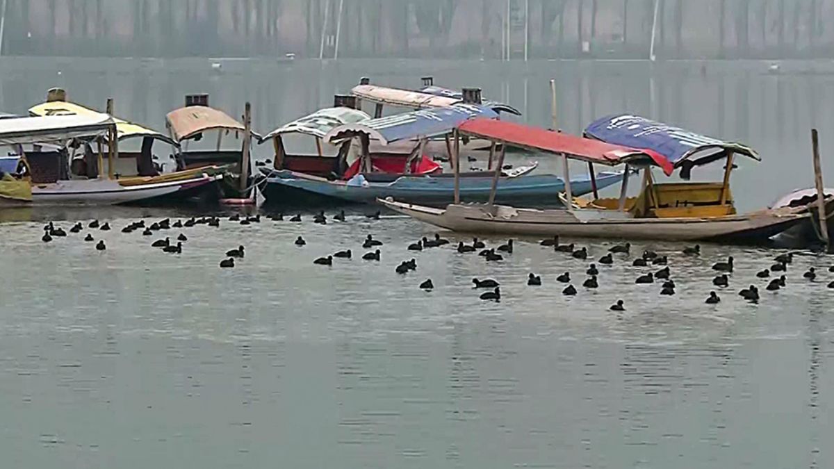 Srinagar, Jammu and Kashmir Weather Update Today: Temperature, AQI, IMD Forecast For Next 7 Days