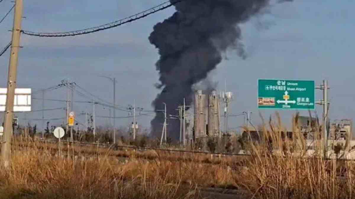 South Korea Plane Catches Fire After Landing Gear Malfunction, About