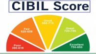 CIBIL Score is a 3-digit numeric summary of an individual's credit history, rating, and report, and ranges from 300 to 900.