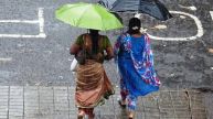 IMD Predicts Rain in Punjab, Haryana, Delhi-NCR; Cold Wave to Follow from Dec 9