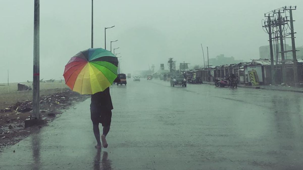 chennai-weather Chennai Weather Update Today December 11, 2024: IMD Issues Yellow Alert! Temperature, AQI, IMD Forecast For Next 7 Days