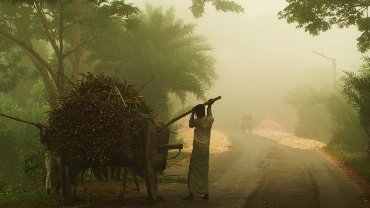 Ludhiana, Punjab Weather Update Today: IMD Issues Yellow Alert! Temperature, AQI, IMD Forecast For Next 7 Days