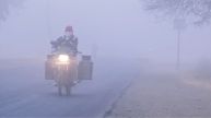 IMD Weather Update: Dense Fog Warning In Northern States; Cold Wave To Grip Punjab, Haryana, UP And Rajasthan During The Week