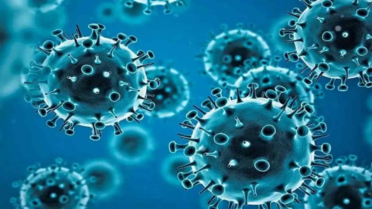 First Case of HMPV Reported in India: 8-Month-Old Tests Positive