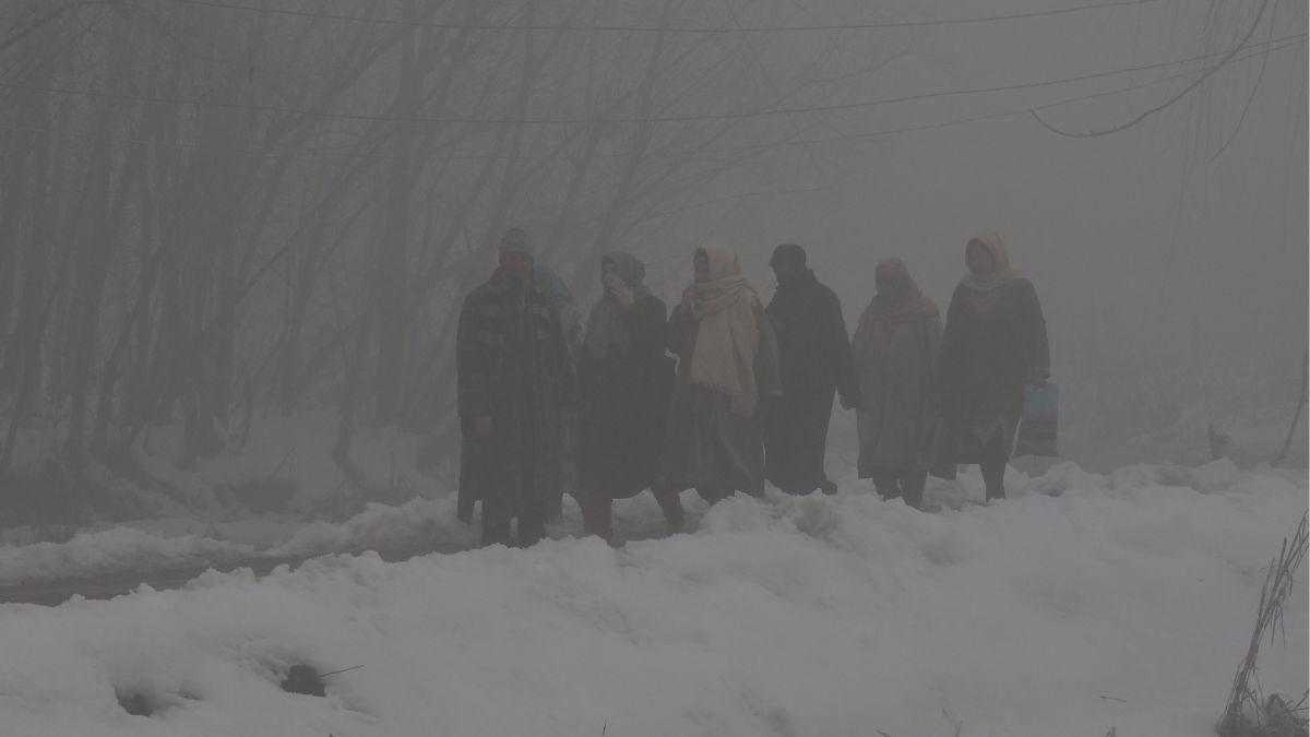 IMD Weather Update: India Braces For Weather Shift, Cold Wave Warning For J&K; Check Rain And Snow Forecast