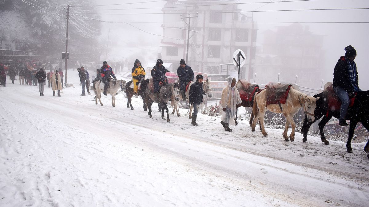 Himachal Pradesh: Tourists Flock To Kufri As Fresh Snowfall Blankets Hills; IMD Predicts More Snow On On These days...