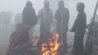 IMD Weather Alert: Dense Fog In Haryana, Heavy Rain And Snowfall Expected Over Northern India; Check Forecast For Next 4 Days