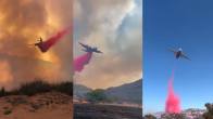 Los Angeles Wildfires: What Is Pink Powder?