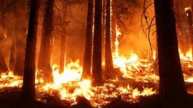 THIS Nation Develops New System To Stop Wildfires - Know Which Country Is It?