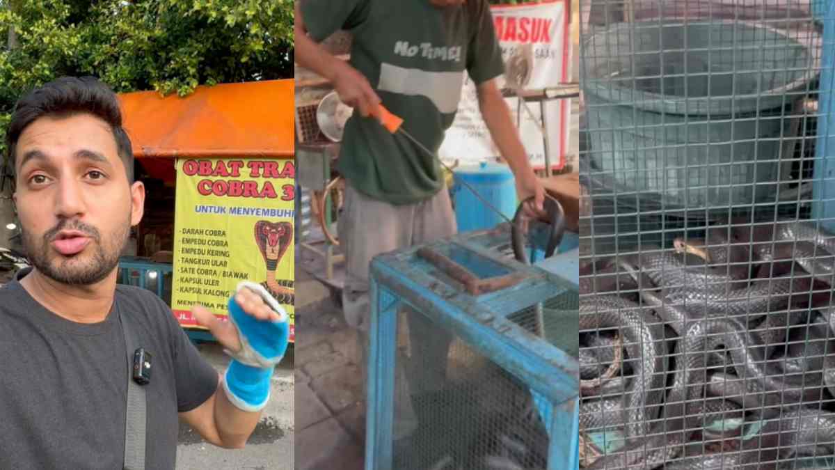 Viral Video: 'Kamzor Dil Tha Fir Bhi...' - 'Cobra Pakode' On Indonesian Streets