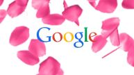 You Can Stop, Share Or Increase Google's 'Rose Petal Shower' On The Search Platform – Here’s What You Need To Do