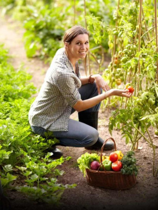 The Benefits Of Growing Your Own Vegetables