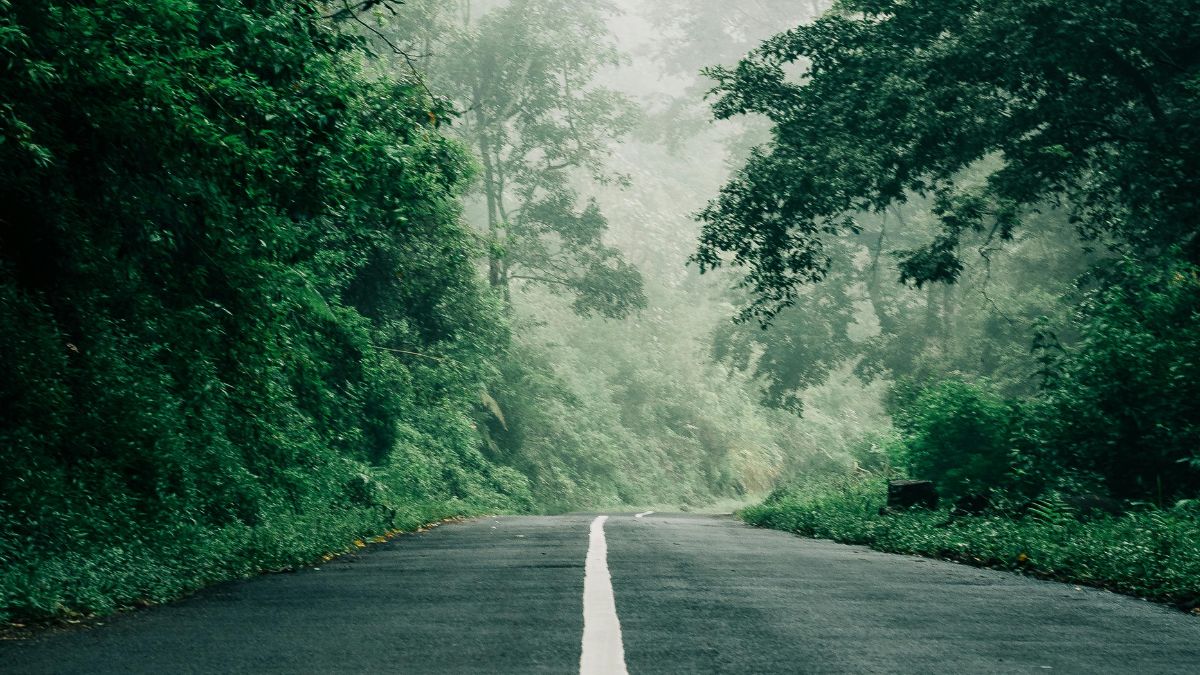 Lucknow, Uttar Pradesh Weather Update Today: Temperature, AQI Warning, IMD Forecast For Next 7 Days