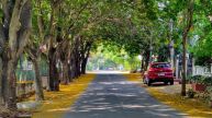 Bengaluru, Karnataka Weather Update Today: Temperature, AQI, IMD Forecast For Next 7 Days