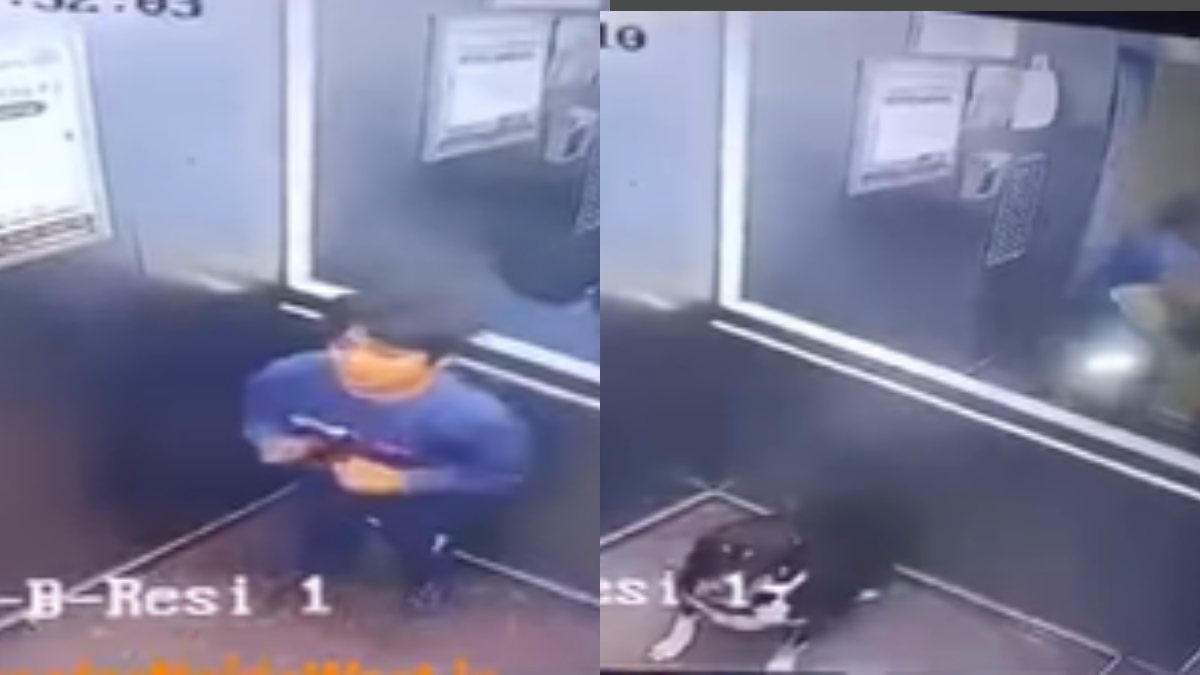 Greater Noida Viral Video: SHOCKING! Woman With Dog Mercilessly Beats Terrified Child After Dragging Him Out Of Lift