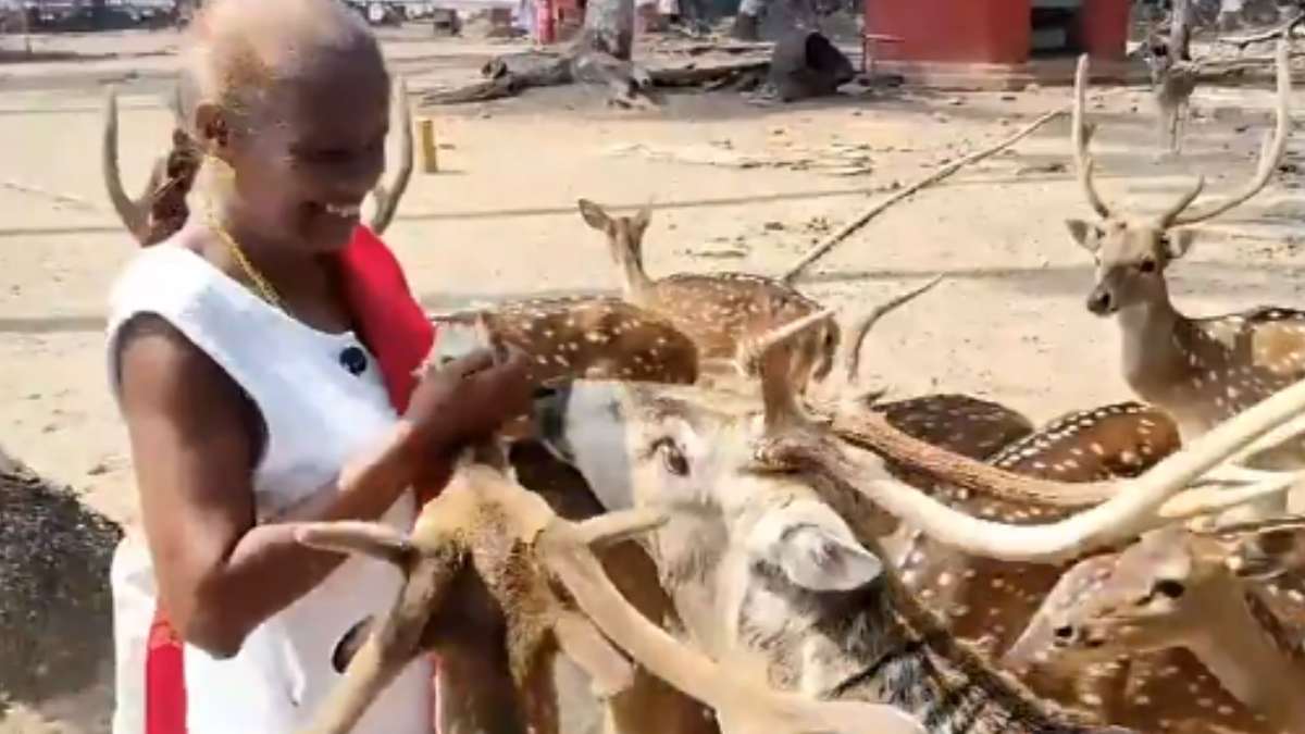 Port Blair's Deer Woman Anuradha Rao