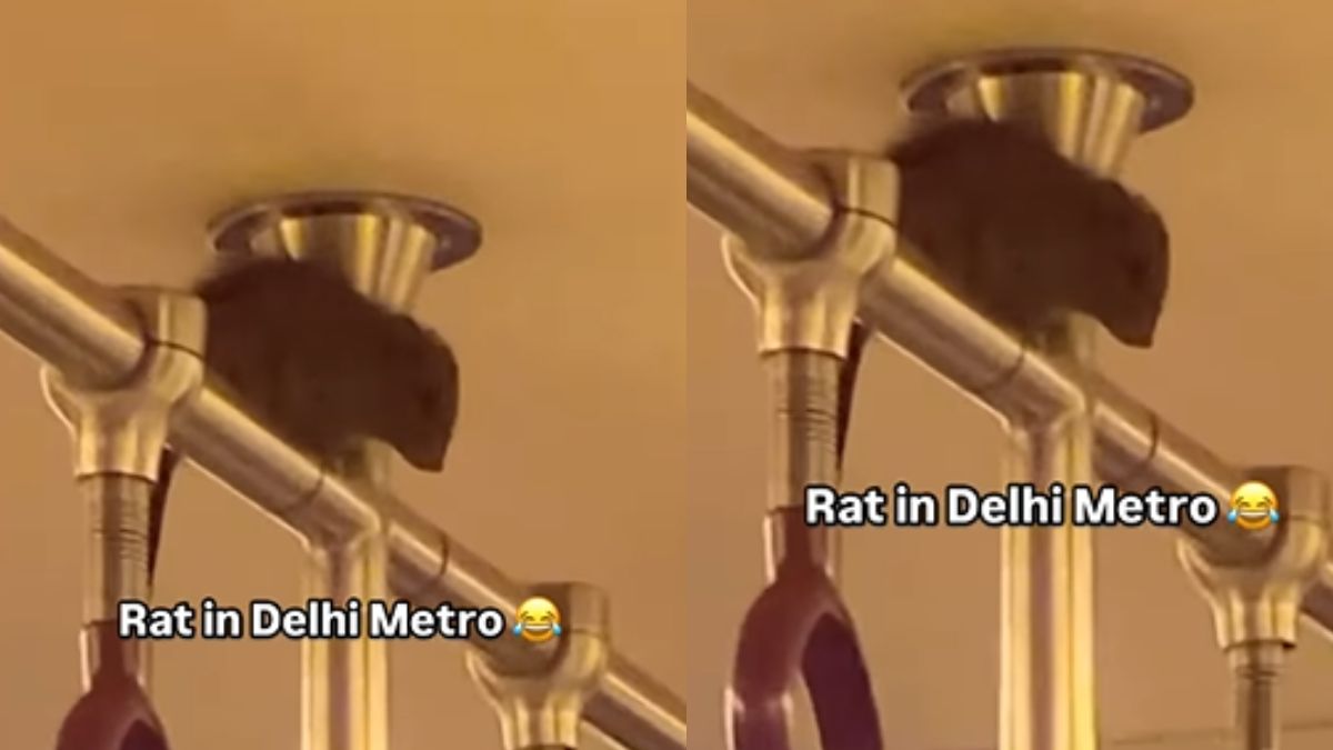 WATCH: From Traffic Relief to Rodent Streak – Delhi Metro's Unexpected Passenger Goes Viral!