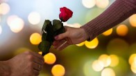 Happy Rose Day 2025: Wishes, WhatsApp Messages, Quotes To Share With Your Partner