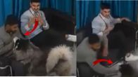 Shocking Viral Video: Pet Dog Suddenly Attacks Man in Clinic – What Went Wrong?