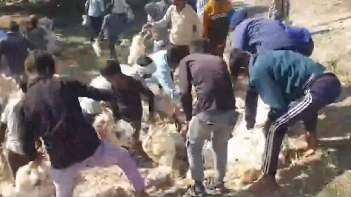 UP: Four Dead, Several Injured In Bus-Tempo Crash On Purvanchal Expressway |Watch Video UP: Four Dead, Several Injured In Bus-Tempo Crash On Purvanchal Expressway |Watch Video