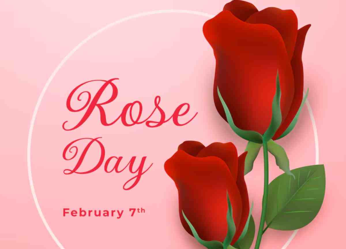 Rose Day 2025 Quotes, Wishes, Messages And Images To Share With Your