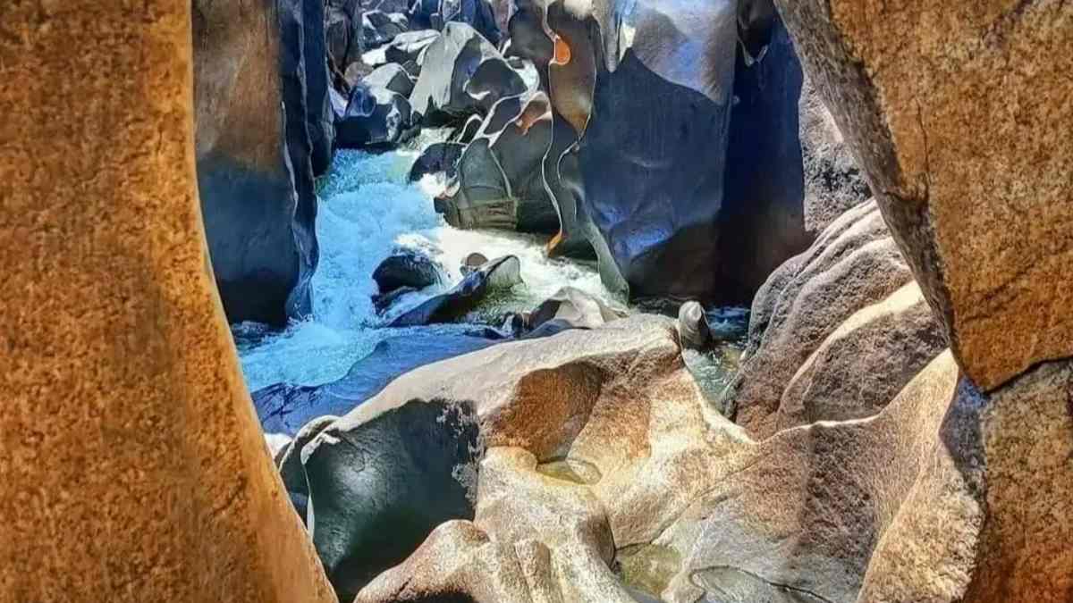 Anand Mahindra calls for global recognition of Kanhakund