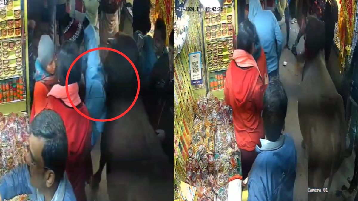 Rajasthan: Bull Rampages Through Mehandipur Balaji, Hits Child | Watch Video