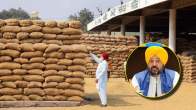 Punjab's Paddy Procurement Triumph