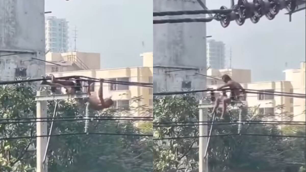 Viral Video Viral Video