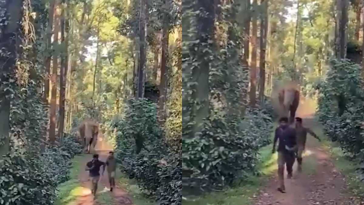 Viral Video Viral Video