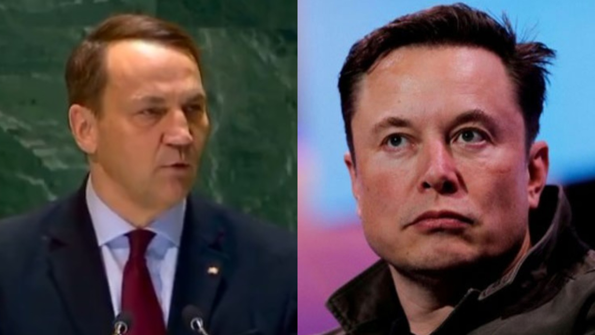 elon-polish