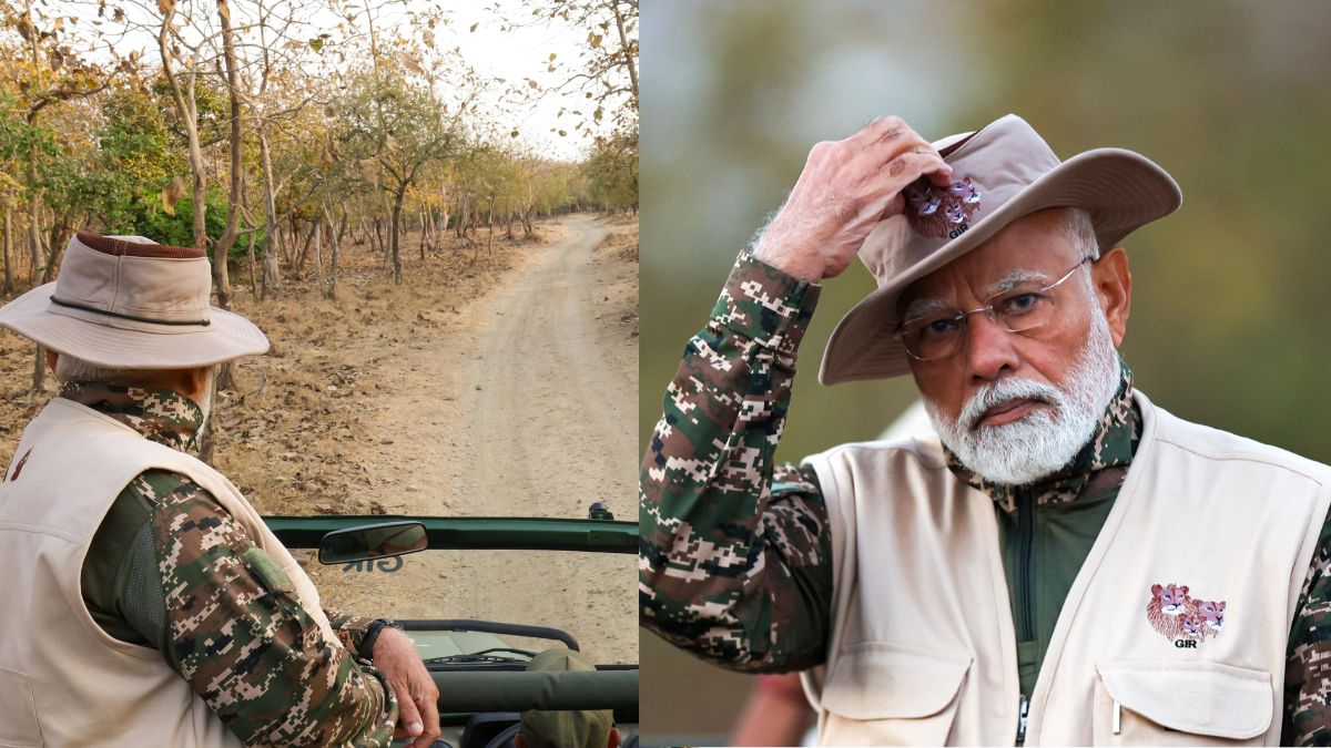 World Wildlife Day 2025: PM Modi Visits Gir National Park In Gujarat, Enjoys Lion Safari | WATCH Video